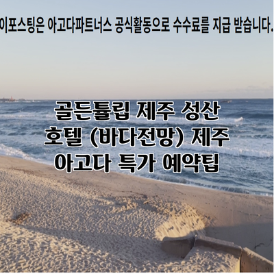 골든튤립 제주 성산 호텔 (바다전망) 제주 아고다 특가 예약팁