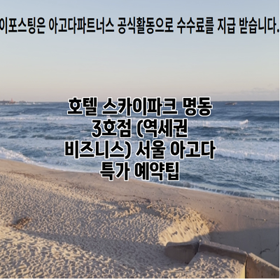 호텔 스카이파크 명동 3호점 (역세권 비즈니스) 서울 아고다 특가 예약팁