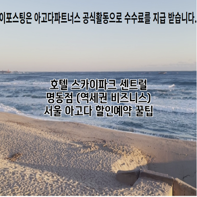 호텔 스카이파크 센트럴 명동점 (역세권 비즈니스) 서울 아고다 할인예약 꿀팁