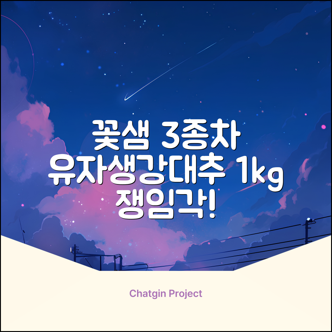 꽃샘 유자차S 1kg *생강차S 1kg *대추차 1kg, 1개, 1개 추천 리뷰
