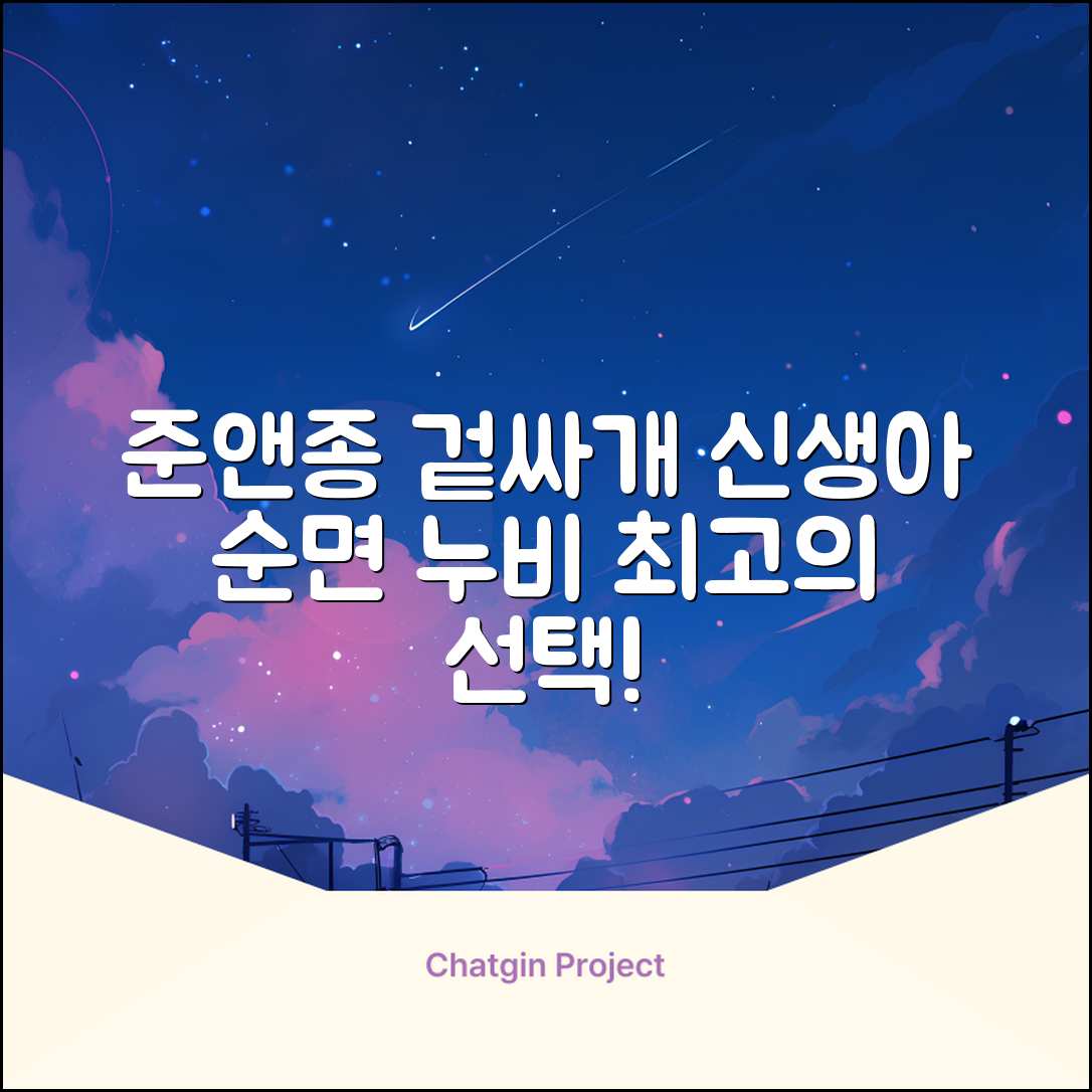 준앤종 프리미엄 순면 신생아 누비 겉싸개 추천 리뷰