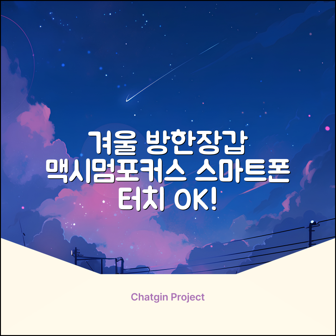 맥시멈포커스 스마트폰 터치 겨울 방한장갑 추천 리뷰