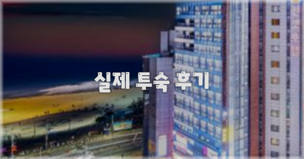 💬 실제 투숙 후기