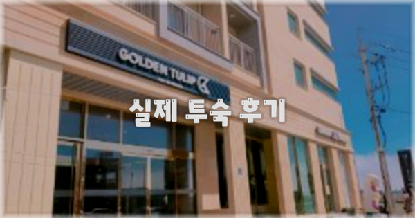 💬 실제 투숙 후기