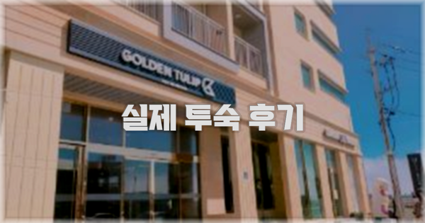 💬 실제 투숙 후기