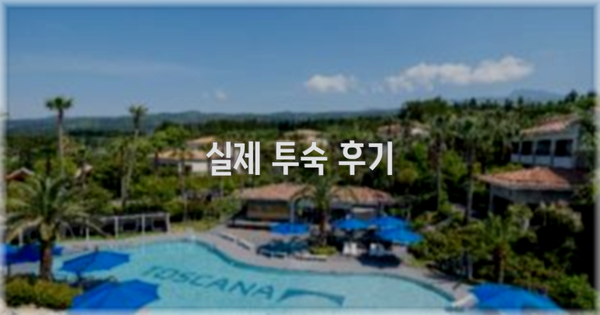 💬 실제 투숙 후기
