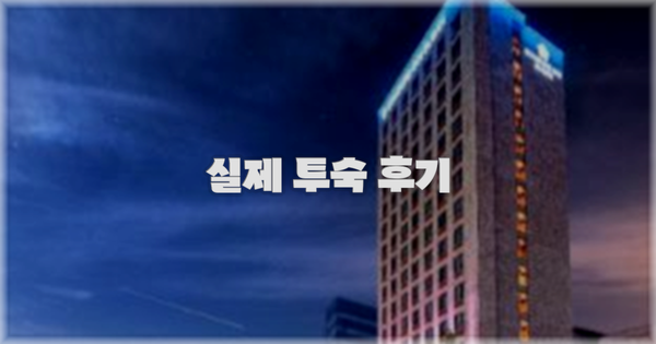 💬 실제 투숙 후기