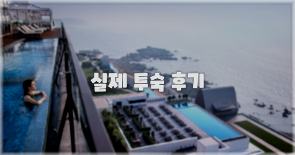 💬 실제 투숙 후기