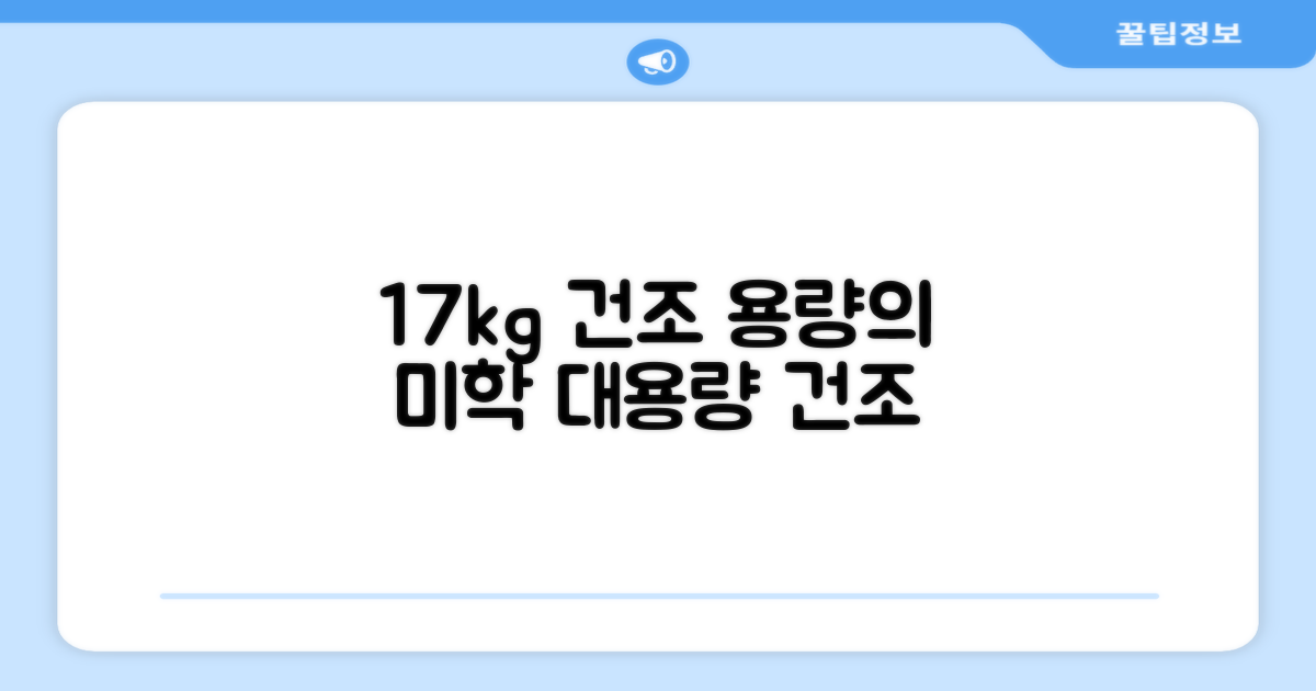 17kg 건조, 용량의 미학