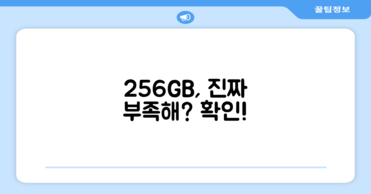256GB 저장 공간, 충분할까?