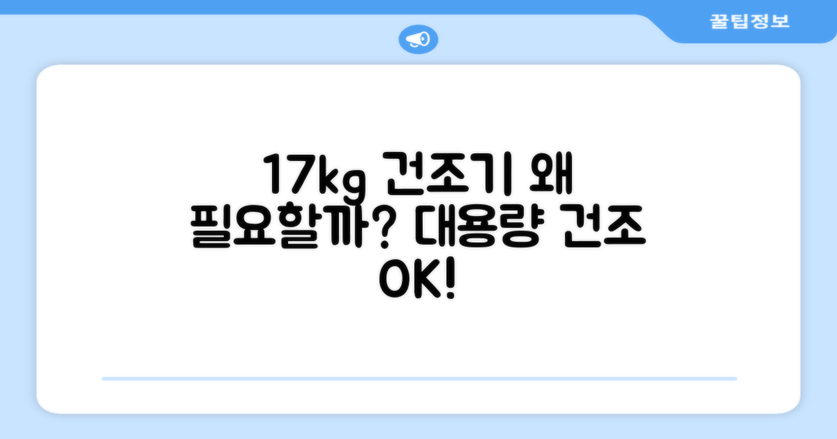 17kg 건조기, 왜 필요할까요?